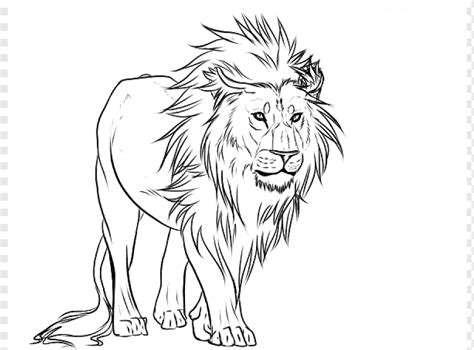 Lion Drawing Pencil Art Sketch Evil Tree S Mammal Face Pencil Png