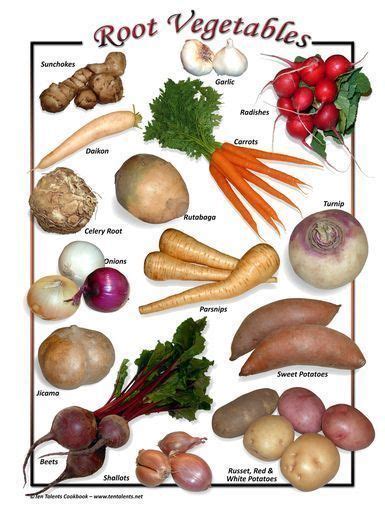 20171103003907 Nutrition Recipes Vegetables Root Veggies