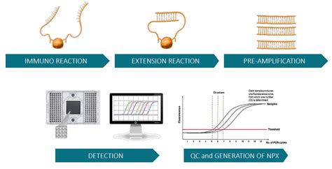 Olink Proteomics Protein Screening For Biomarker Discovery