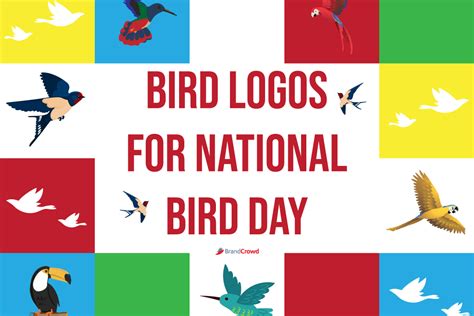 Famous Bird Logos Brandcrowd Blog