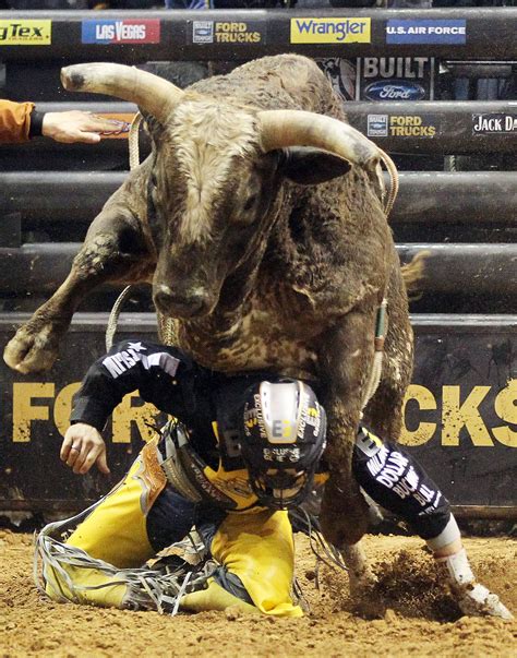 Professional Bull Riders Championship Round In St Photo Professional