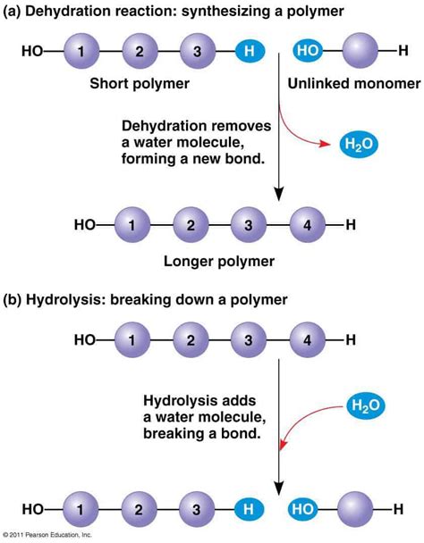 Self Healing Polymers All You Need To Know About Them