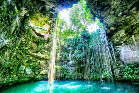 Tulum And Cozumel Two ‘must Dive Destinations The Yucatan Times
