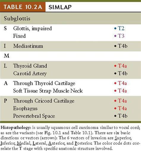 Glottic And Subglottic Larynx Tnm Staging Atlas With Oncoanatomy 2e