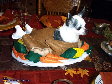 We did not find results for: Cooked Turkey Dog Costume