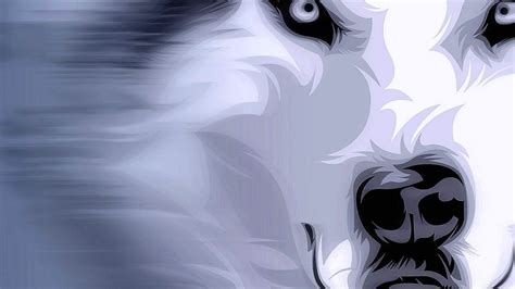 Wolf Magic Begin Now Wallpapers Wolf Background Images