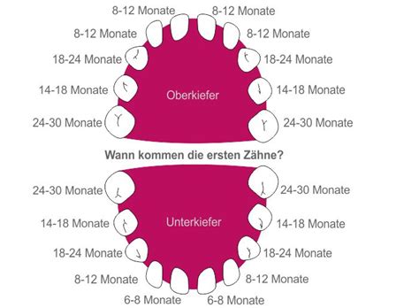 Wann es soweit sein kann und was sie dabei beachten sollten, haben wir in diesem praxistipp für sie zusammengefasst. Baby & Zahnen » Ab wann zahnen? Symptome, Anzeichen & Hilfe