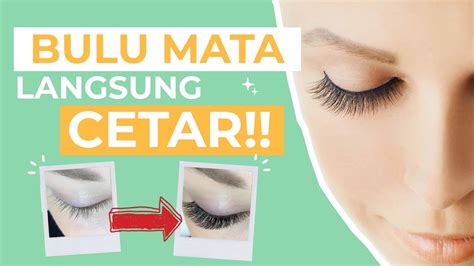 Ada banyak cara memanjangkan bulu mata dan melebatkan bulu mata tanpa harus memulaskan maskara, bulu mata palsu, ataupun extension bulu mata. PRAKTIS! 5 Cara Memanjangkan & Melebatkan Bulu Mata dalam ...