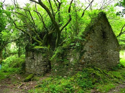 Nature Abandoned Places Abandoned Houses Abandoned