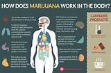How Does Marijuana Help The Body Images