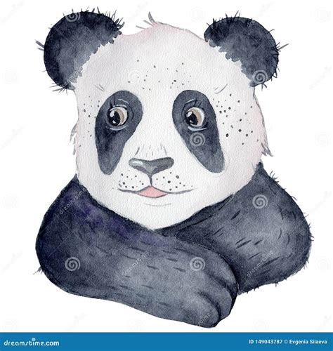 Cute Panda Bear Cartoon Watercolor Illustration Animal Stock Image
