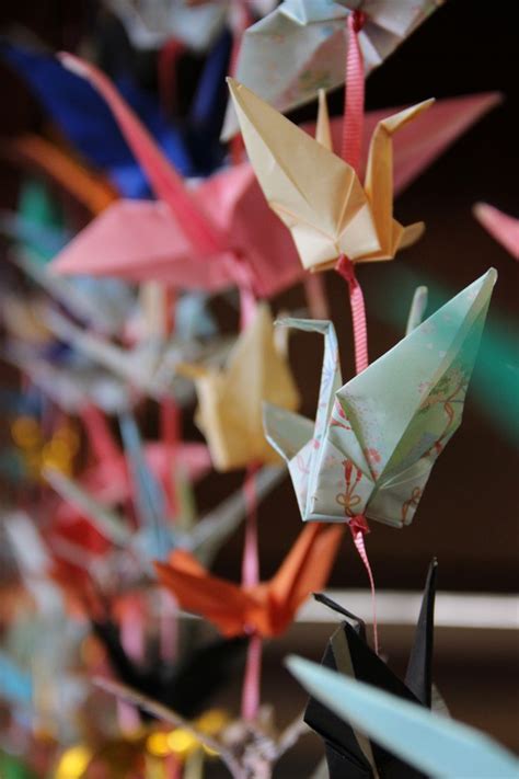 Hanging Origami Cranes At Branciforte Branch