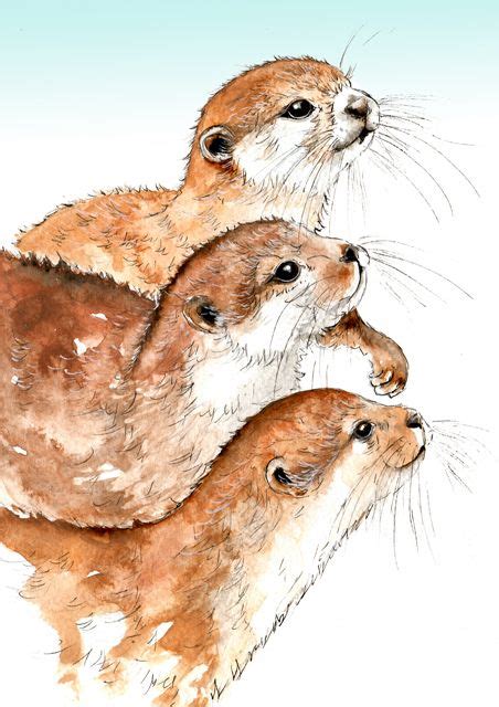 0249 Three Otters — Cath Ward Otter Art Otter Illustration Sea