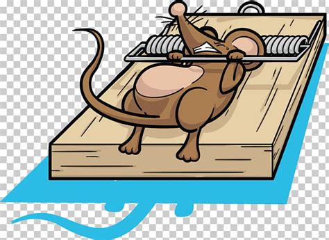 Clipart Mouse Trap 10 Free Cliparts Download Images On Clipground 2024