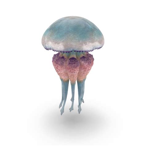 Spongebob Jellyfish Transparent