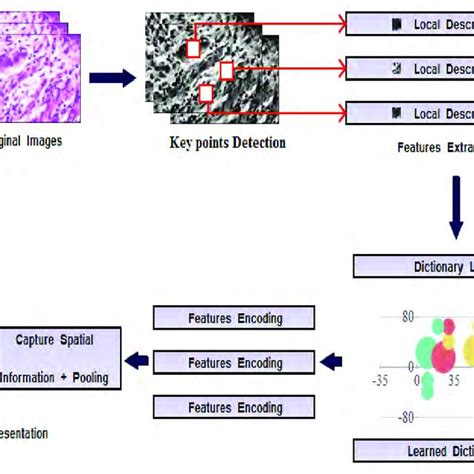Pdf Classification Of Breast Cancer Based On Histology Images Using