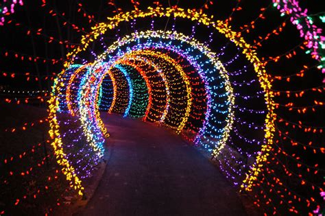 Christmas Decorative Led Fairy Lighted Tunnel Ichristmaslight