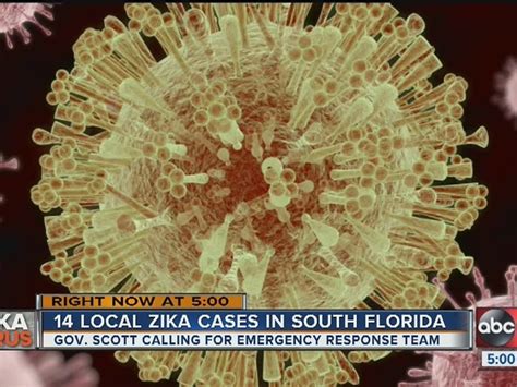 State 10 New Zika Cases Caused By Mosquitoes