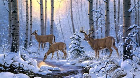 Whitetail Deer In Snow Painting Art Backiee