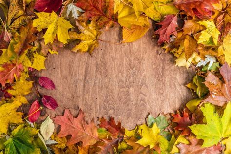 Frame Made Of Fall Leaves On Wood Autumn Background Stock Image