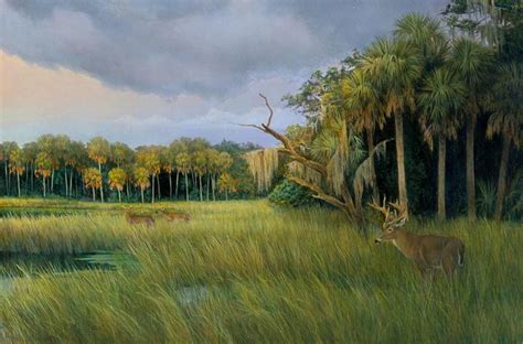 Charles Rowe Florida Wildlife And Landscape Artist