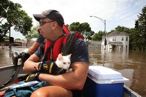 15 Pictures Of Cats Saved By Firemen