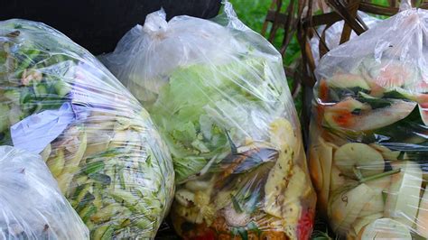 The Problem Of Food Wastage Goodman Fielder Food Service