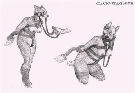 Rule 34 2012 Anthro Bit Gag Bondage Bound Breasts Canine