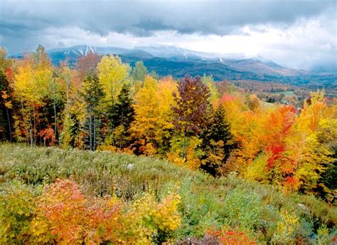 A Scenic Fall Foliage New England Drive