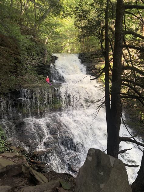 Ricketts Glen State Park In Pa Has 24 Waterfalls On A Single Loop Best