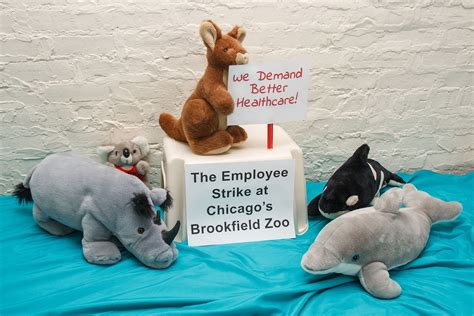 Chicagos Brookfield Zoo Employee Strike