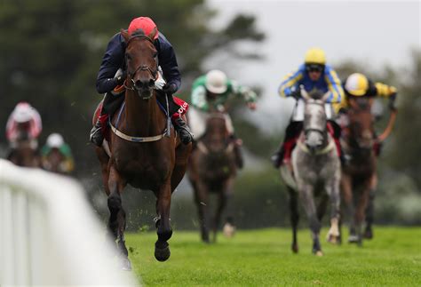 Horse Racing Tips Galway Races 2018 We Help You Find The Winner Of