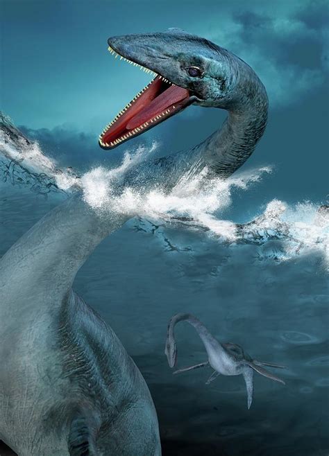Prehistoric Sea Creatures Photograph By Victor Habbick Visions Pixels
