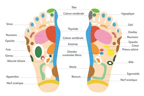 Réflexologie plantaire auto massage des pieds Karl Max KarlandMax Massage pieds