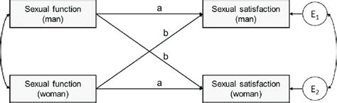 actor partner interdependence model apim the boxes on the left download scientific diagram