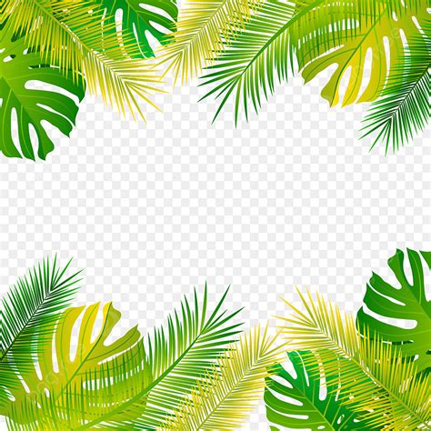 Tropical Palm Leaves Vector Hd Png Images Forest Tropical Leaves And Leaf Plant Palm Frame