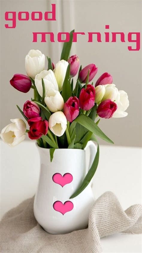 Tulips Good Morning Flowers Morning Pictures Good Morning Picture