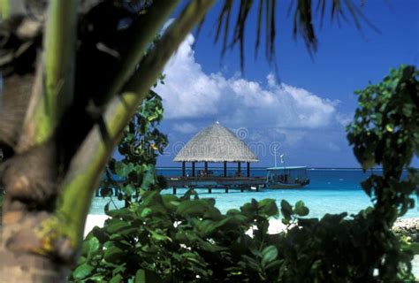 Asia Indian Ocean Maldives Seascape Beach Stock Photo Image Of Atoll