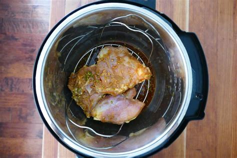 Common instant pot problems and how to troubleshoot them. Instant Pot Burn Message - Paint The Kitchen Red