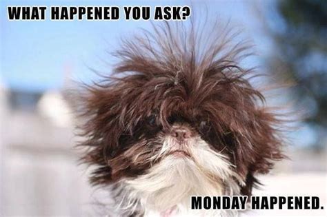Monday Happened Monday Memes Pinterest Discover More