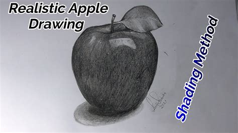 Realistic Apple Drawing Tutorial How To Use Pencil Stocks Hyper