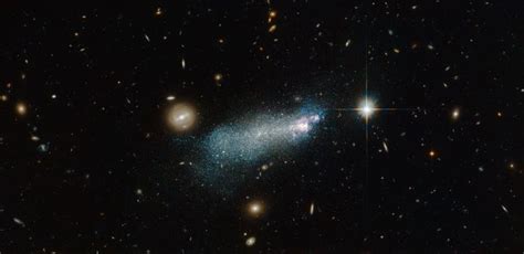 Hubble Sees An Intriguing Young Looking Dwarf Eurekalert