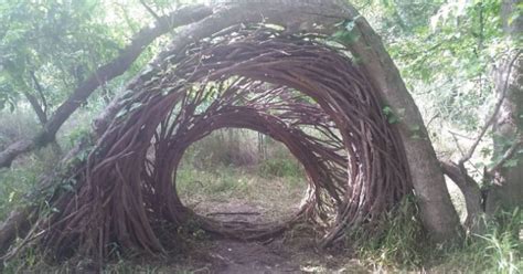21 Photos Of Interesting Things People Found In The Forest