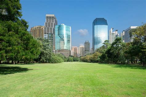 City Park With Modern Building Background Stock Photo Image Of