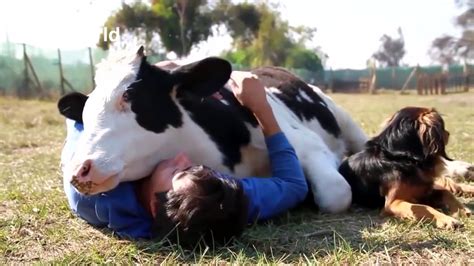 Hayvanlar Insanlar Kucaklarsa Nsanlar Ve Hayvanlar Aras Ndaki Saf Ve Tertemiz Sevgi Youtube