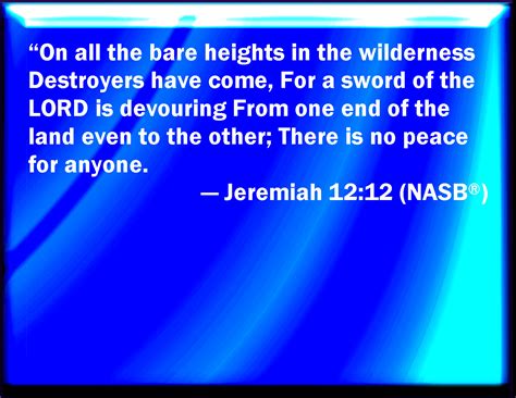 Jeremiah 12:12 The spoilers are come on all high places through the wilderness: for the sword of ...