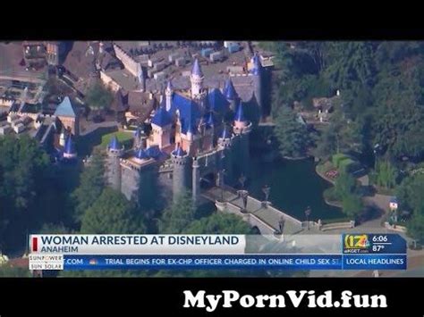 Woman Allegedly Attempted To Avoid Arrest By Hiding On Disneyland Ride