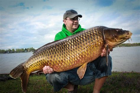 What's the biggest fish ever caught on rod and reel? Is This Michigan's Biggest Carp Ever on Rod & Reel?