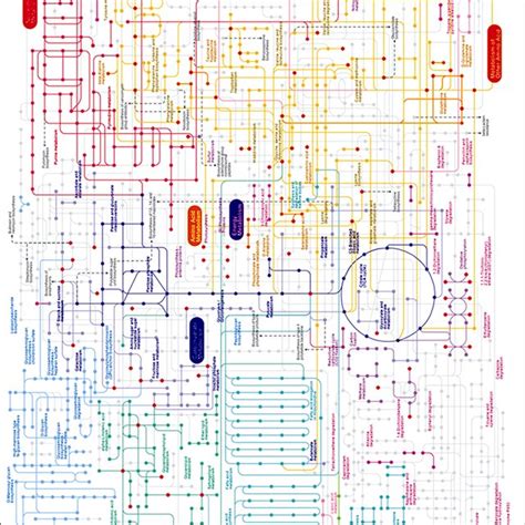 The Marked Kegg Metabolic Pathway Map By Red Points With All The