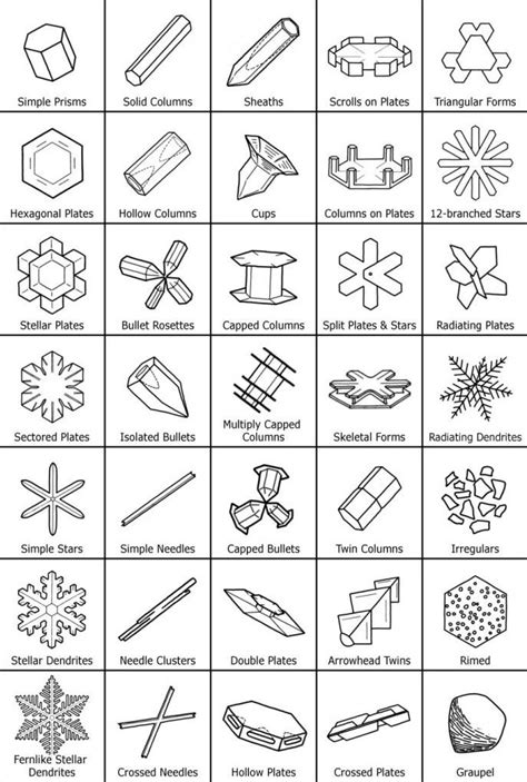 Visual Types Of Snowflakes Infographictv Number One Infographics